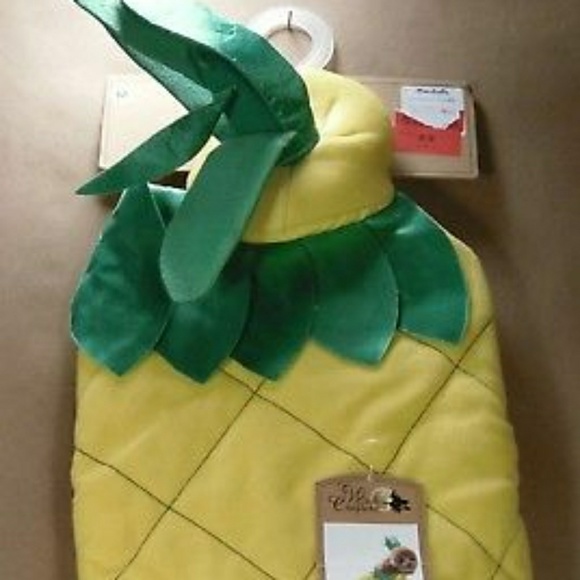 Pineapple Costume for a Dog. - Picture 5 of 6